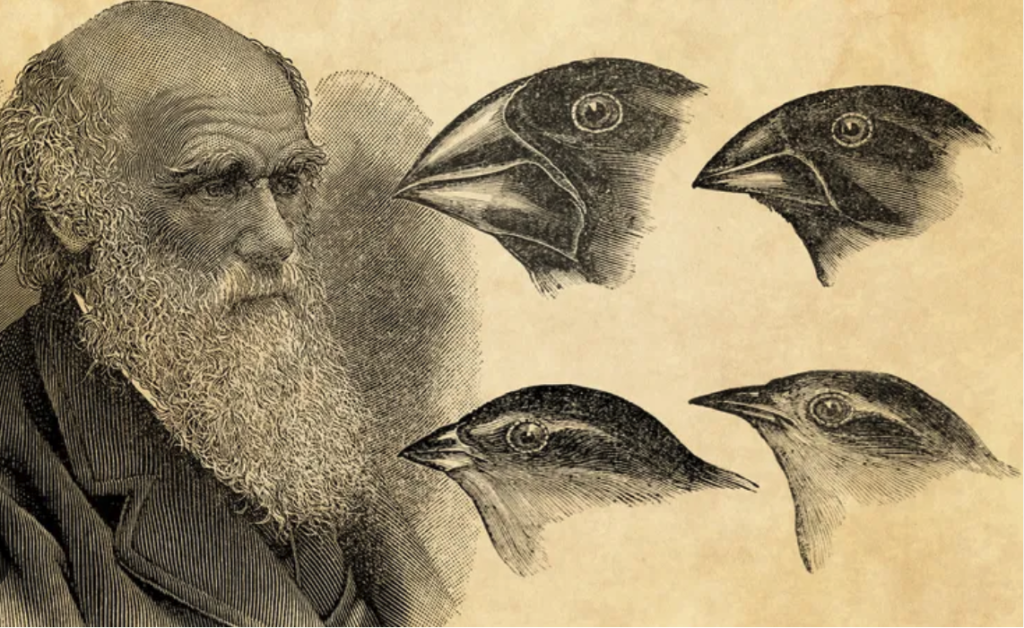 Charles Darwin and his Finches