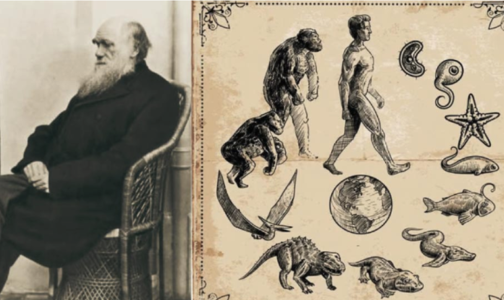 Charles Darwin's Theory of Evolution
